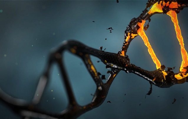 Similarities of Peptides and SARMs